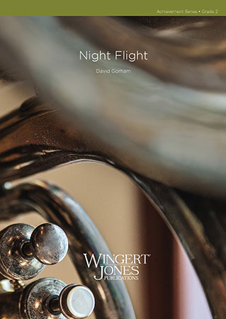 Night Flight - hier klicken Night Flight - hier klicken