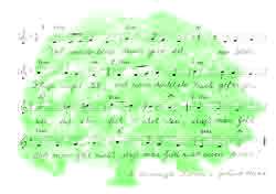 Erst wenn der letzte Baum gerodet - hier klicken