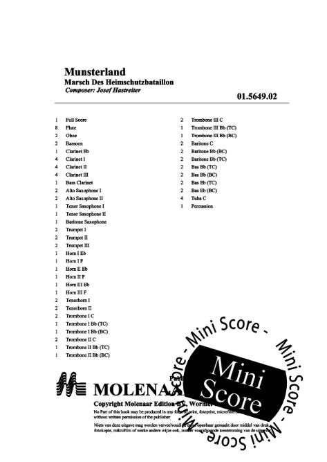 M�nsterland (Marsch des Heimschutzbataillon 731) - hier klicken