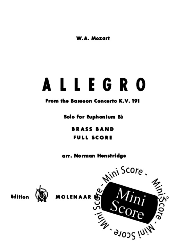 Allegro / Bassoon Concerto - hier klicken