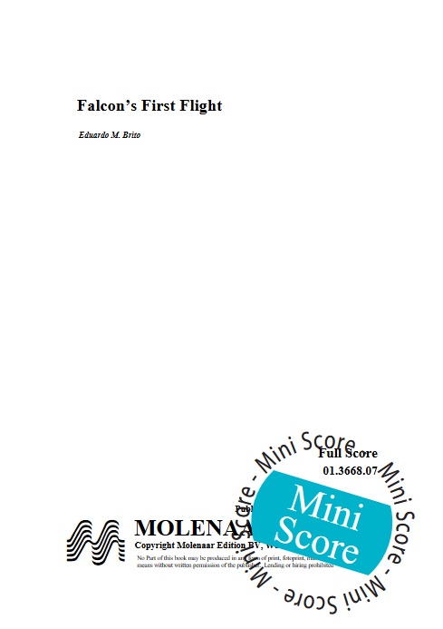 Falcon's First Flight - hier klicken