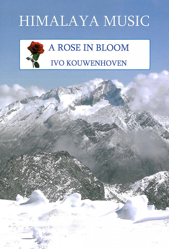 A Rose in Bloom - hier klicken