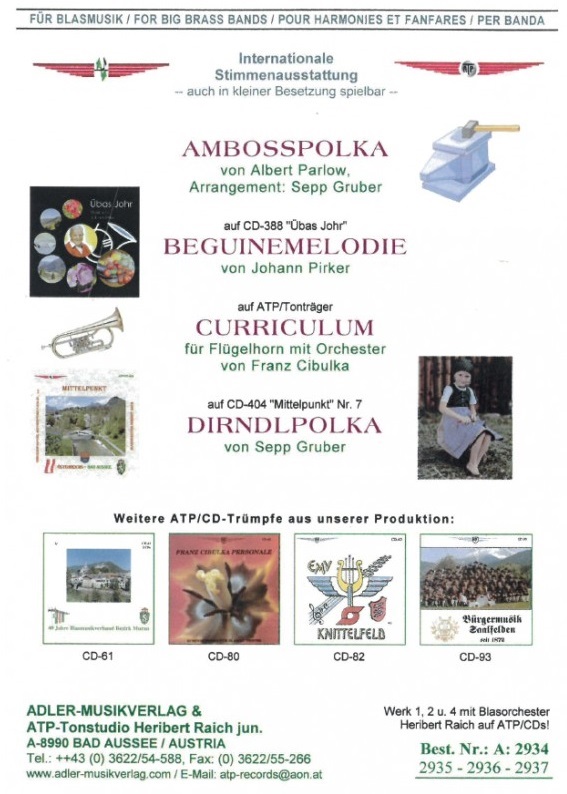 Curriculum - hier klicken