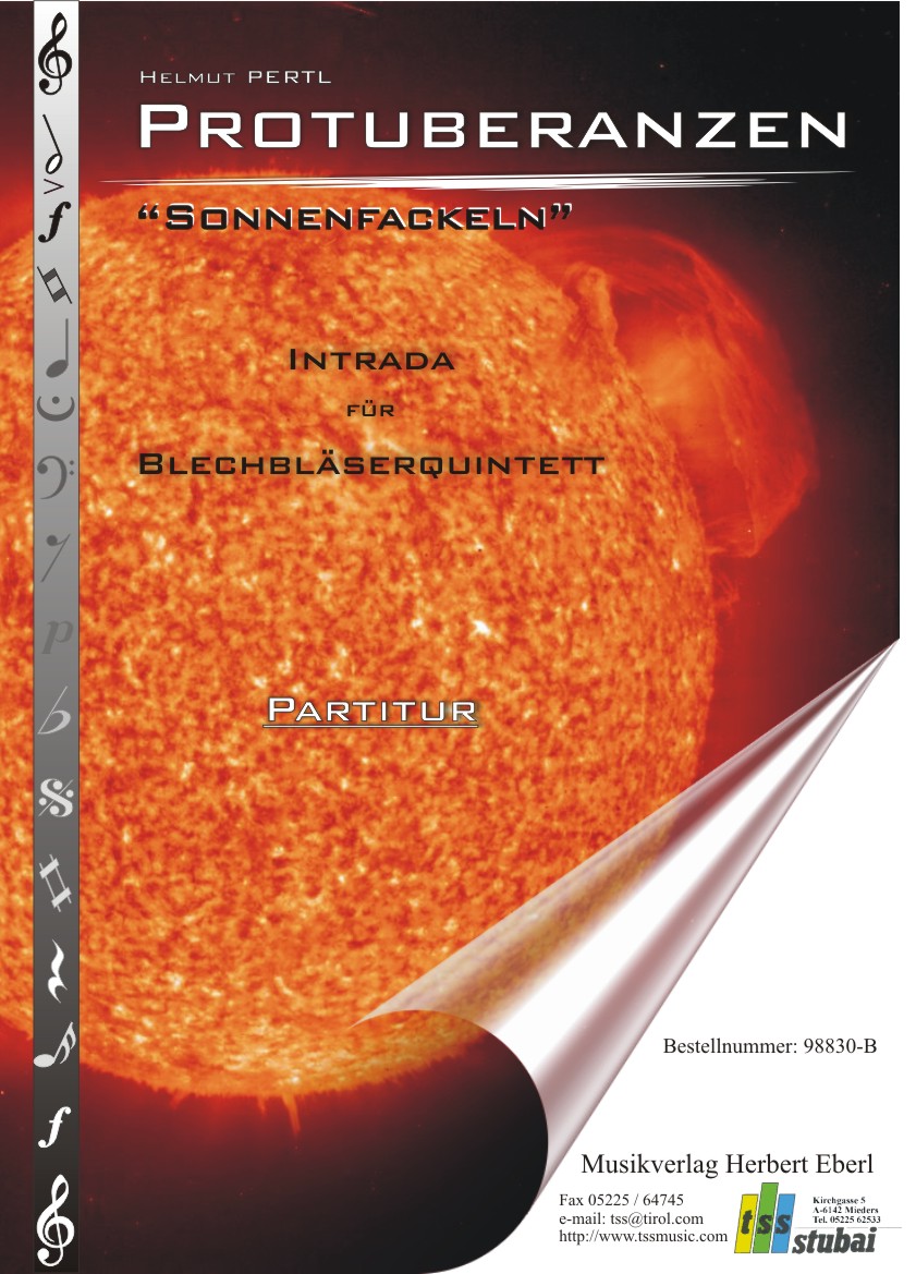 Protuberanzen - Sonnenfackeln - hier klicken